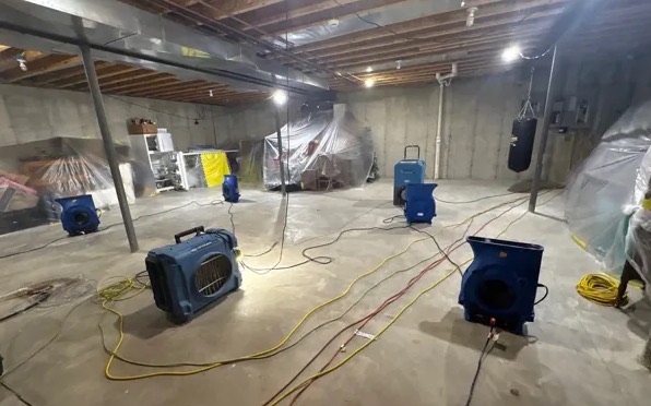 Basement Mold Cleanup in El Cerrito, CA