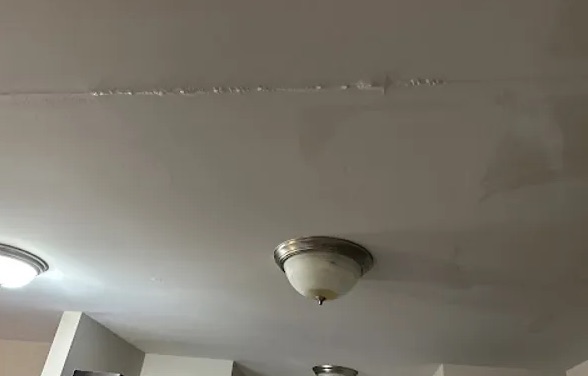 Wall Mold Removal in El Cerrito, CA