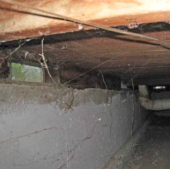 Crawlspace Mold Remediation in El Cerrito, CA