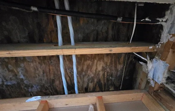 Emergency Tarping in Mill Valley, CA