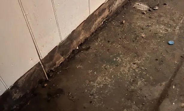 Toilet Overflow Cleanup in Penngrove, CA